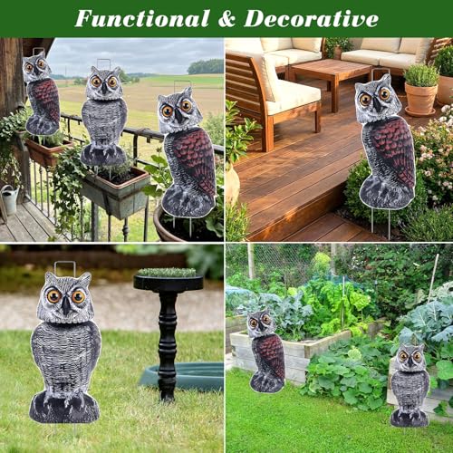 8 Pack Owl Decoys to Scare Birds Away, Fake Owls Scarecrow Yard Lawn Sign with Stakes Pest Repellent Bird Deterrents Waterproof Plastic Owls Decorations for Gardens Patio Outdoor(2 Pattern) - style: 2 Pattern