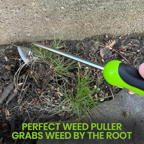 Garden Guru Dandelion Weeder & Root Weeder Tool - Rust Resistant Stainless Steel Weed Puller with Ergonomic Handle for Planting, Weeding, Flower and Vegetable Care in Lawn Garden Yard - size: 1 Pack, style: Weeding Kit