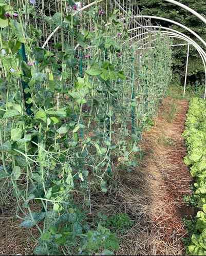 6.5FT X 10FT Jute Trellis Netting Biodegradable Plant & Flower Support (3, Millimeters, 3, Millimeters, 6.5, Feet, 10, Feet, 6.5, Feet)