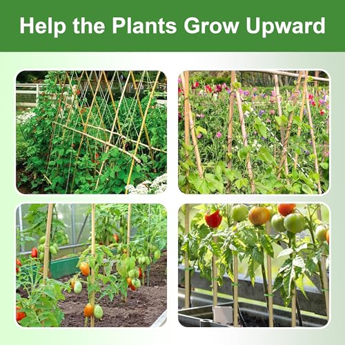 Garden Stakes 4ft, Natural Bamboo Stakes 4 Feet, Thicker Sturdy Plant Stakes 25 Pack for Tomatoes, Beans, Flowers, Potted and More Climbing Plants - size: 4FT, pack of 25