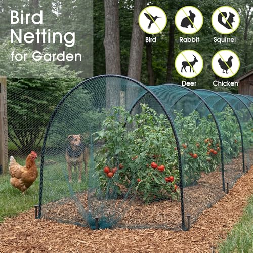 RIFNY Bird Netting for Garden Protection, 28 x 30FT Mesh Garden Netting - size: 28 x 30 FT - 5/8 inch Mesh