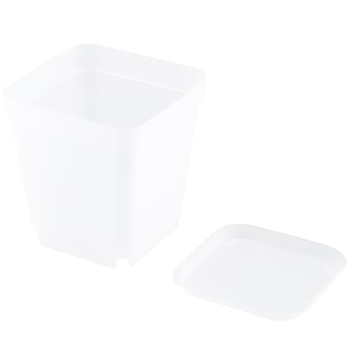 PINGEUI 150 Pcs Nursery Plant Pots, 3Inch Clear Square Herb Pots with Saucers, for Home, Office, Garden