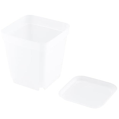 PINGEUI 150 Pcs Nursery Plant Pots, 3Inch Clear Square Herb Pots with Saucers, for Home, Office, Garden