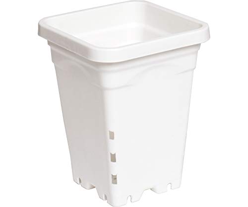 5x5" Square Pot White
