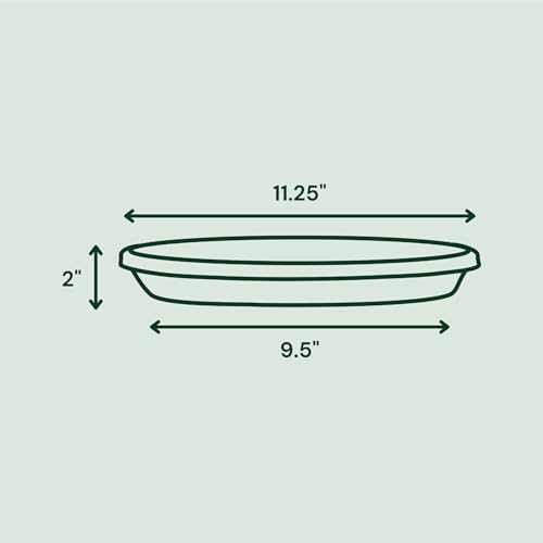 Bloem Terra Plastic Saucer Tray for 12" Terra Planters, UV-Resistant, Basil - color: Basil, size: 12"