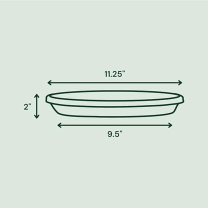 Bloem Terra Plastic Saucer Tray for 12" Terra Planters, UV-Resistant, Basil - color: Basil, size: 12"