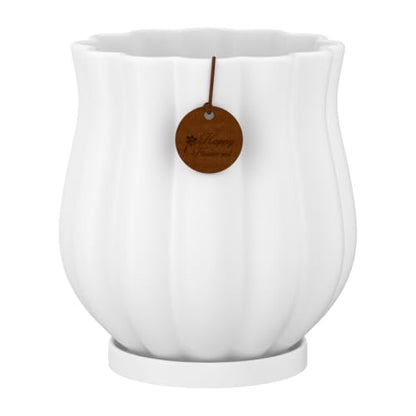 7.1" Matte White Ceramic Plant Pot with Saucer - color: Matte White, size: Large