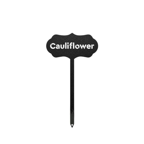 RealSteel Metal Seed & Plant Markers – Elegant Indoor & Outdoor Garden Stakes – Durable Herb, Vegetable & Fruit Plant Labels for Pots, Raised Beds & Greenhouse – Farmhouse Garden Gift - (Cauliflower) - style: CAULIFLOWER