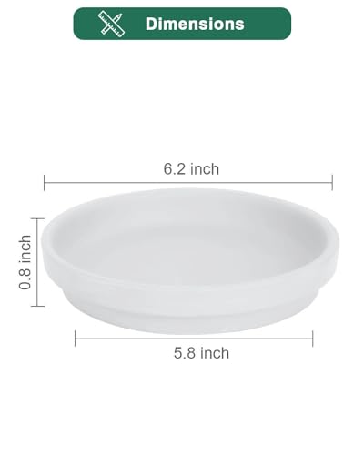 vensovo 6 Inch White Terracotta Plant Saucers, 6 Pack Small Clay Trays - color: White, size: 6 inch