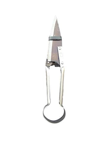 DUE BUOI Single Bow Straight Sheep Shears DB 160/27-5" Blade Length - 10" 1/2 Total Length