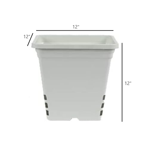 SUNPACK Square Tall Nursery Pot, White, 12" (Pack of 12) - Features Drainage Holes for Excess Water, Perfect for Greenhouse or Outdoor Growing - Durable, UV Resistant Plastic