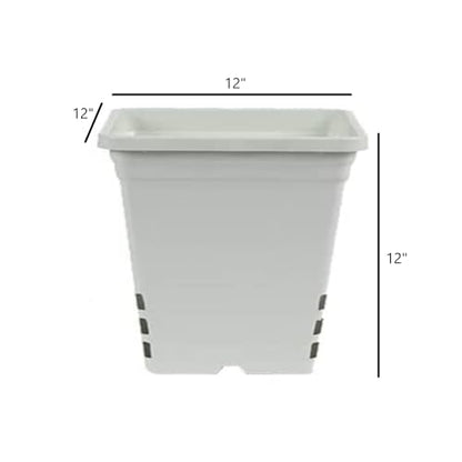 SUNPACK Square Tall Nursery Pot, White, 12" (Pack of 12) - Features Drainage Holes for Excess Water, Perfect for Greenhouse or Outdoor Growing - Durable, UV Resistant Plastic