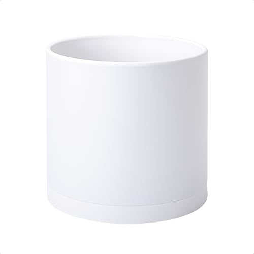 D'vine Dev Plastic Planter Pot with Saucer, 10 in, White Color, 74-X-A-2 - color: Matte White, size: 10 Inch