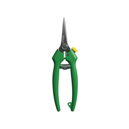 Miracle-Gro Straight Tip Floral Shears - Lightweight Gardening Scissors - Hand Pruner Pruning Shear for Flowers, Herbs, Roses and Indoor Plants - style: Floral Shears