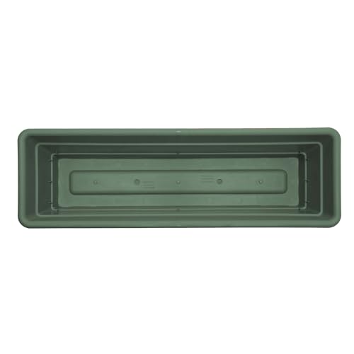 Bloem Dura Cotta 18" Plastic Window Box Planter with Saucer, Basil
