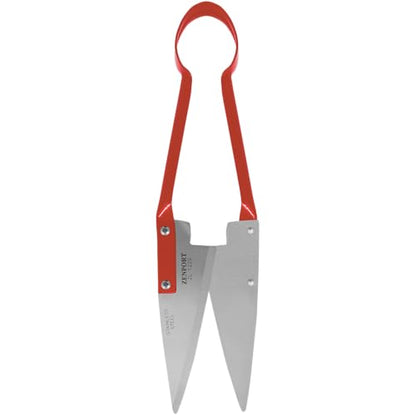 Onion Shears - size: 5.5-Inch