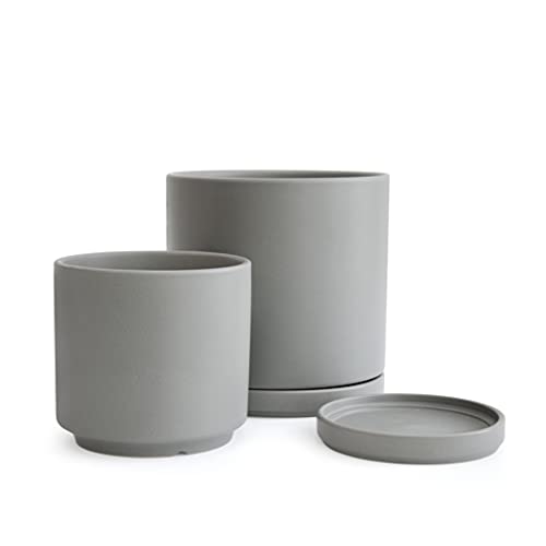 D'vine Dev 2-Pack Ceramic Pots with Saucers, 6/8 in, Grey, 94-G-M-3 - color: Gray, size: Medium