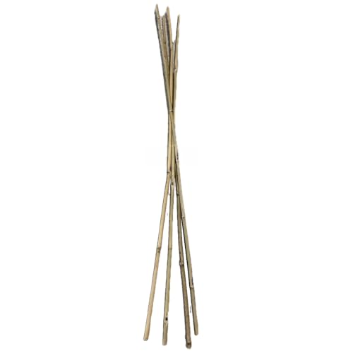 Farm Plastic Supply - Bamboo Garden Stakes - Bambo Sticks, Bamboo Plant Stakes for Outdoor Plants, Plant Support Stakes for Indoor Plants (7 Foot, 5) - style: 7 Foot