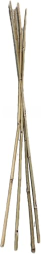 VBS - Bamboo Garden Stakes - Bambo Sticks, Bamboo Plant Stakes for Outdoor Plants, Plant Support Stakes for Indoor Plants (7 Foot - 5 Pack) - size: 7 Foot - 5 Pack