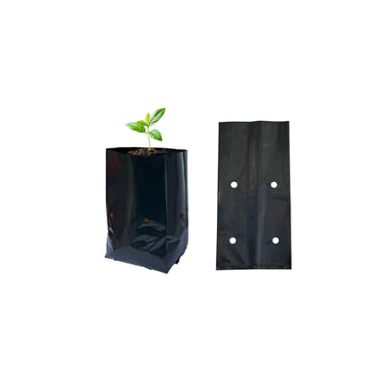 gardtree 1/4 Gallon 100 Pcs Thicken Seedling Nursery Bags, 3.9" x 6.1" Deep Plastic Grow Bags with Drainage Holes, Heavy Duty Plant Starter Pots for Vegetables, Flowers, Succulents and Cuttings - size: 3.9"x6.1"/100PCS
