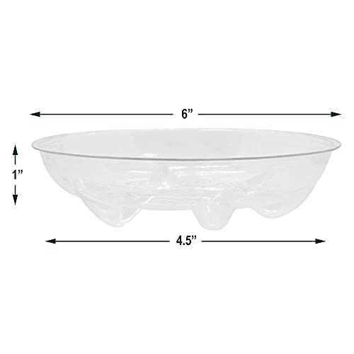 Arcadia Garden Products PS16 6" Heavy Duty Clear Plastic Saucer (Pack of 5), 6, Transparent - size: 6"