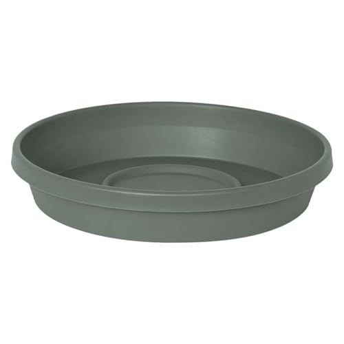 Bloem Terra Plastic Saucer Tray for 12" Terra Planters, UV-Resistant, Basil - color: Basil, size: 12"