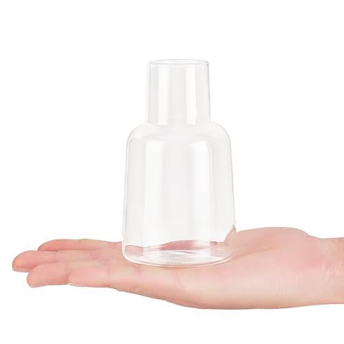 Mkono Propagation Vases 5 Glass Jars Station for Hydroponic Plants, Clear - color: Clear