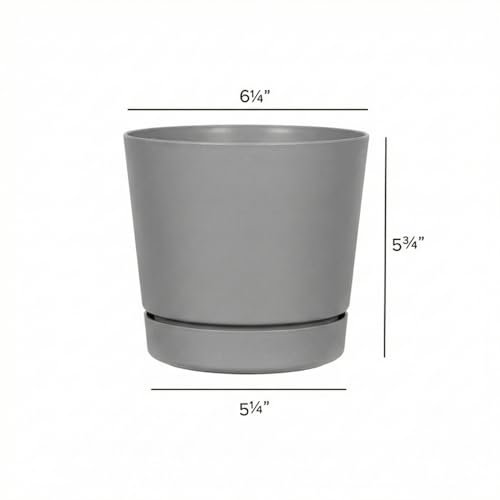 Root & Vessel Majestic Full Depth Round Cylinder Pot, Glossy Gray, 6-Inch (10060) - color: Gray, size: 6 Inch