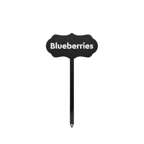 RealSteel Metal Seed & Plant Markers – Elegant Indoor & Outdoor Garden Stakes – Durable Herb, Vegetable & Fruit Plant Labels for Pots, Raised Beds & Greenhouse – Farmhouse Garden Gift - (Blueberries) - style: BLUEBERRIES