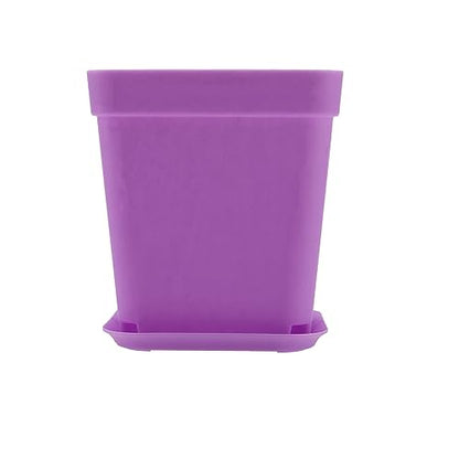 HOIGON 100 Pack 3 Inch Purple Square Nursery Pot, Durable Thickened Plastic Nursery Pots with Drain Holes, Small Square Planting Containers for Flower Tomatoes Basil - color: Purple
