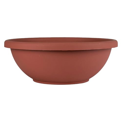 The HC Companies Shallow Planter with Drainage - Contemporary Garden Bowl Planter for Flowers, Herbs & More - Round Succulent Planter Pot for Indoors and Outdoors (15.5" Clay, Pack of 1) - color: Clay, size: 15.5", style: Pack of 1