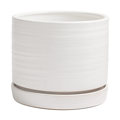HERDUK 8 Inch Pots for Plants, Ceramic Planter Pot with Drainage Hole & Saucer, Indoor/Outdoor Cylinder Round Planter Pot, Matte White - color: Matte White, size: 8 Inch