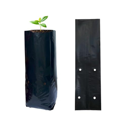 gardtree 100 Pcs Tall Plant Nursery Bags 3.9" x 12", Deep Root Plastic Plant Grow Bags Thicken Tree Seedling Pots for Vegetables, Flower, Fruit, Citrus, Nut Trees, Taproot Saplings - size: 3.9"x12"/100PCS
