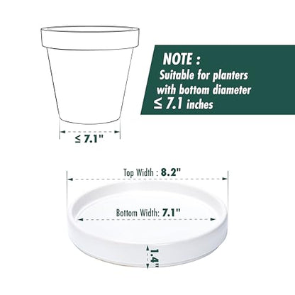 D'vine Dev Ceramic Plant Saucer/Drainage Tray, 7.1 in, White, 97-T-A-3 - color: White, size: 7.1" (1 Pack)