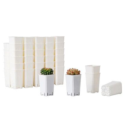 60 Pack 1.95 Inch Tiny White Plastic Square Nursery and Seedling Pot, Mini Deep Transplant Seed Starter Planter with Drain Hole for Germination, Herb, Succulent - color: White