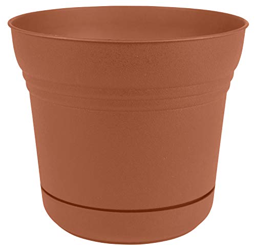 Bloem SP0746 Saturn Planter w/Saucer 7" Terra Cotta, 7" - color: Terra Cotta, size: 7"