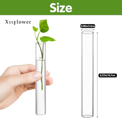 XXXFLOWER Glass Propagation Stations Accessories 4 Tube Vases - size: Size A