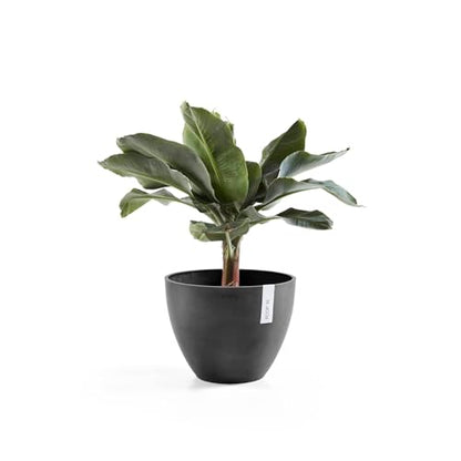 Ecopots Antwerp Round Tapered Flower Planter, Dark Grey, 16" - color: Dark Grey, size: 16"