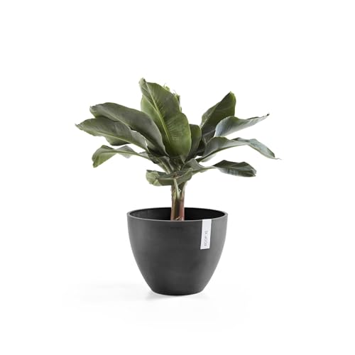 Ecopots Antwerp Round Tapered Flower Planter, Dark Grey, 16" - color: Dark Grey, size: 16"