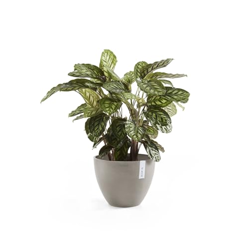 Ecopots Antwerp Round Tapered Flower Planter, Taupe, 12" - color: Taupe, size: 12"