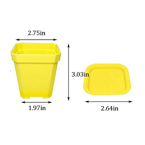 24 Pack 3inch Multi Color Square Plastic Plant Pots,Seedling Nursery Transplanting Planter Container Indoor Outdoor for Your Room,Garden Office and Balcony Decor - color: 6 Colors