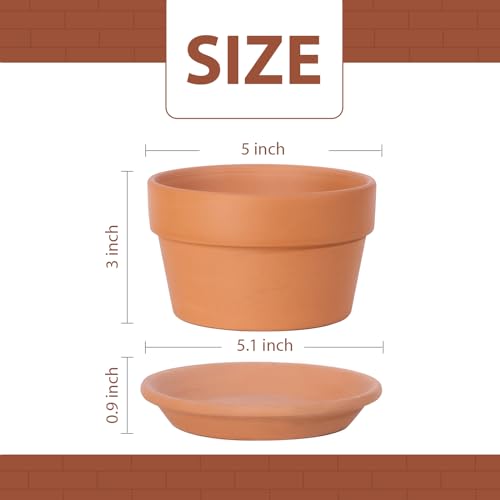 INGOFIN 5 Inch Terracotta Shallow Pots Set with Saucer - Ceramic Clay Pots with Drainage Hole, Terra Cotta for Plants for Indoor Outdoor Plants, Set of 6 - size: Shallow 5 inch-6 pcs
