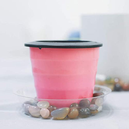 TRUEDAYS 20 Pack 6 Inch Plant Saucers Clear Plant Saucers Flower Pot Plastic Drip Trays Excellent for Indoor & Outdoor Plants - size: 20-Pack (6'' Only)