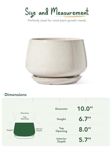 LE TAUCI Ceramic Planter, 10 Inch, Large Plant Pot, Reactive Glaze Beige - color: Reactive Glaze Beige, size: 10"