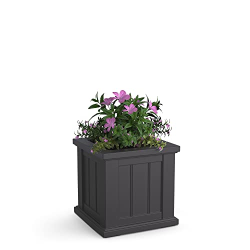 Mayne Cape Cod 14in Square Planter - Graphite Grey - 14in x 14in x 14in - Polyethylene - Built-in Water Reservoir (4836-GRG) - color: Graphite Gray, size: 14in