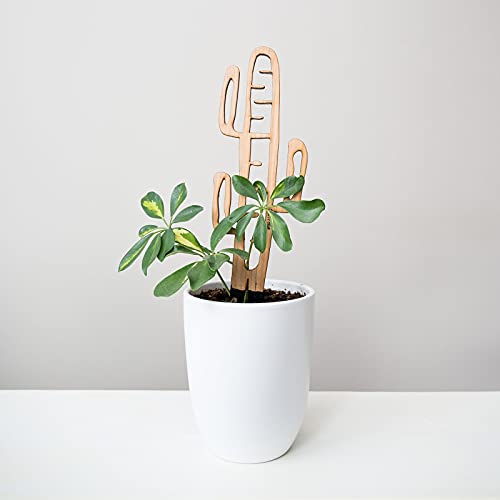 Treleaf Bare™ Cactrella™ – Customizable Wooden Barrel Cactus Leaf Plant Trellis – Regular Size 12” Indoor Plant Support and Decorative Houseplant Stake for Potted Vines and Climbing Plants - size: Regular - 12" tall, style: Cactrella