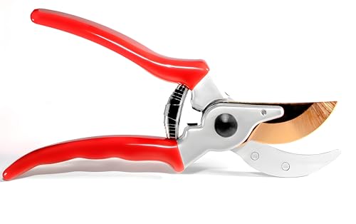 Premium Garden Shears - Heavy Duty Bypass Pruners for Trees Up to 1"Cut Capacity Garden Clippers, Gardening Scissors with Sharp (SHEARS-BLADE) - style: SHEARS-BLADE