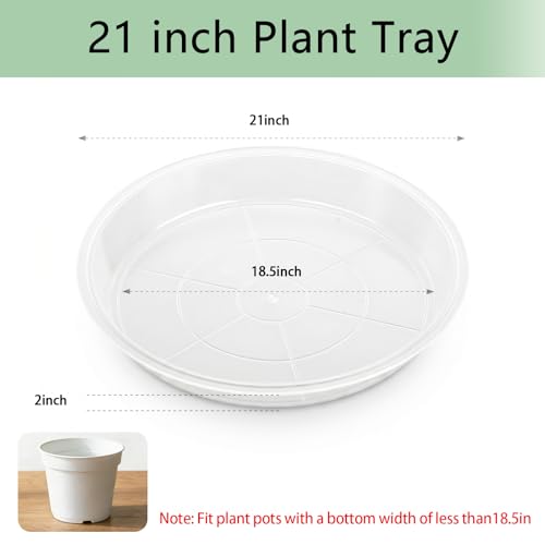 6 Pack Plant Saucer, 3 5 7 9 11 13 15 17 19 21 inch Clear Plastic Plant Trays, Durable Water Catcher Tray for Indoor Outdoor Planters (21 Inch) - size: 21 Inch