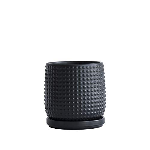 D'vine Dev Beaded Ceramic Pot with Saucer, 4 in, Ebony Matte, 27-C-Z-6 - color: Ebony Matte, size: 4.3 Inch