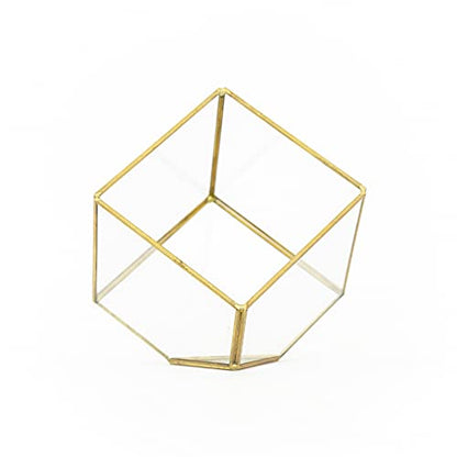 Heptahedron Geometric Glass Terrarium Kit with Red Abdita and Ionantha - Air Plant Tillandsia Holder - Live Tillandsia Succulent House Plant - Home and Garden Decor - Easy Care Indoor Outdoor Plants